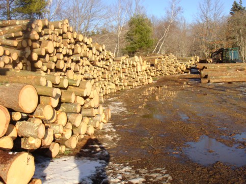 Log cache along Pond Bridge Road with a log loader/transporter