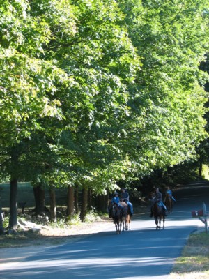 Group of horse back riders on Little Alum Road by the Freeman Farm Stand.