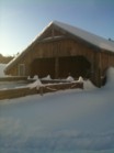 These-9-piggies-got-snowed-in-(2011-01-13-08:04-hours)