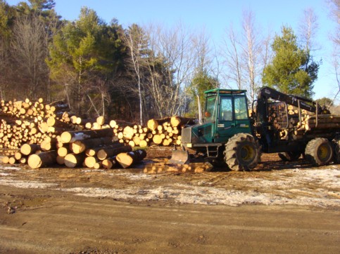 Logs piled up ready to be loaded for transport